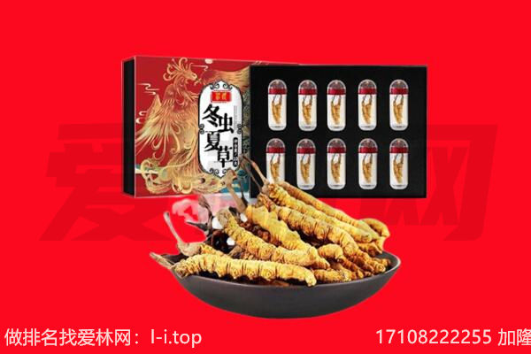 古田县回收虫草.jpg